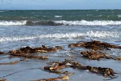 IMG-20200313-WA0006