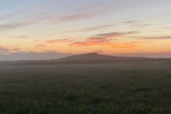 IMG-20210701-WA0000